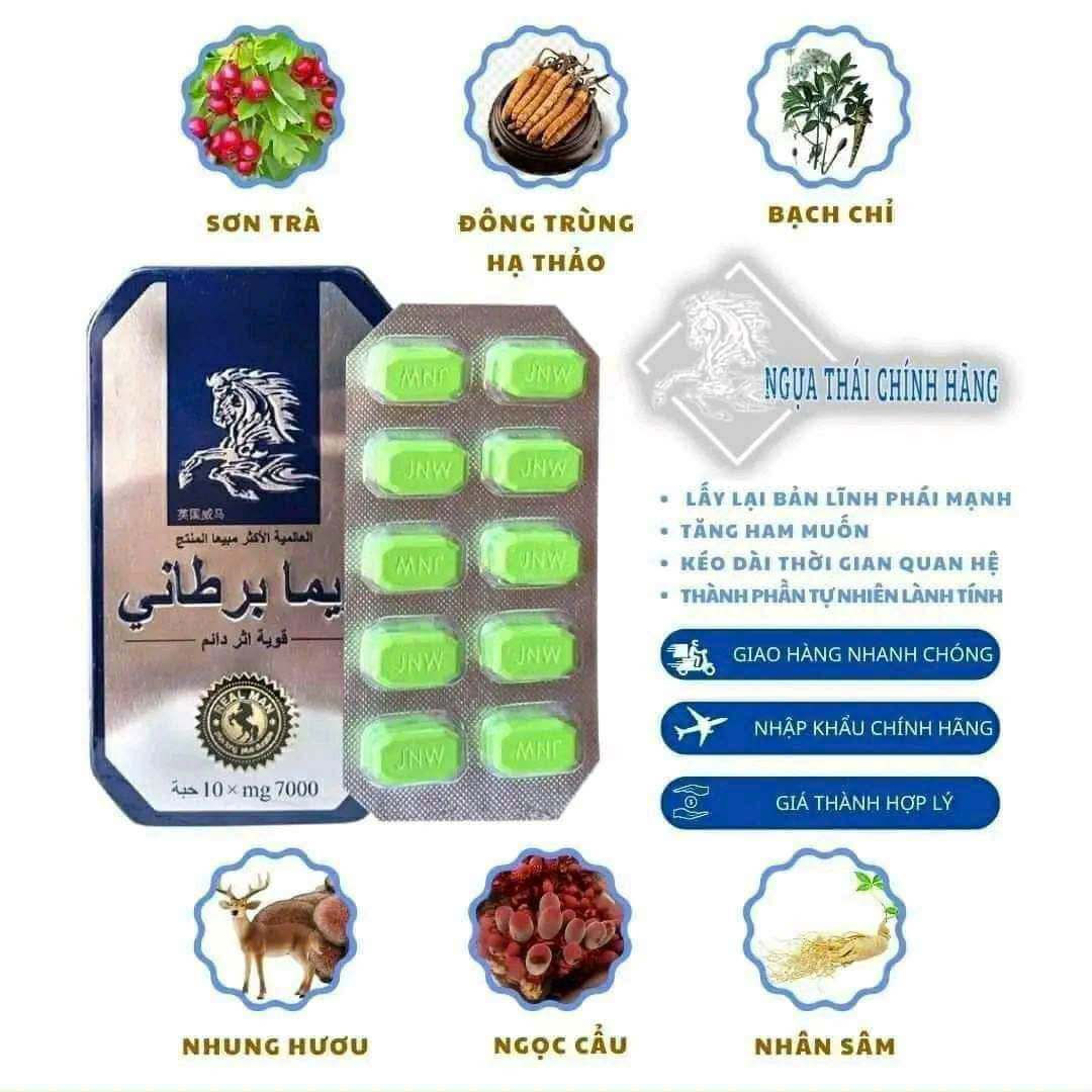 Ngựa Th&aacute;i Ch&iacute;nh H&atilde;ng 1