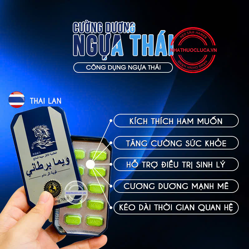 Ngựa Th&aacute;i Ch&iacute;nh H&atilde;ng 3