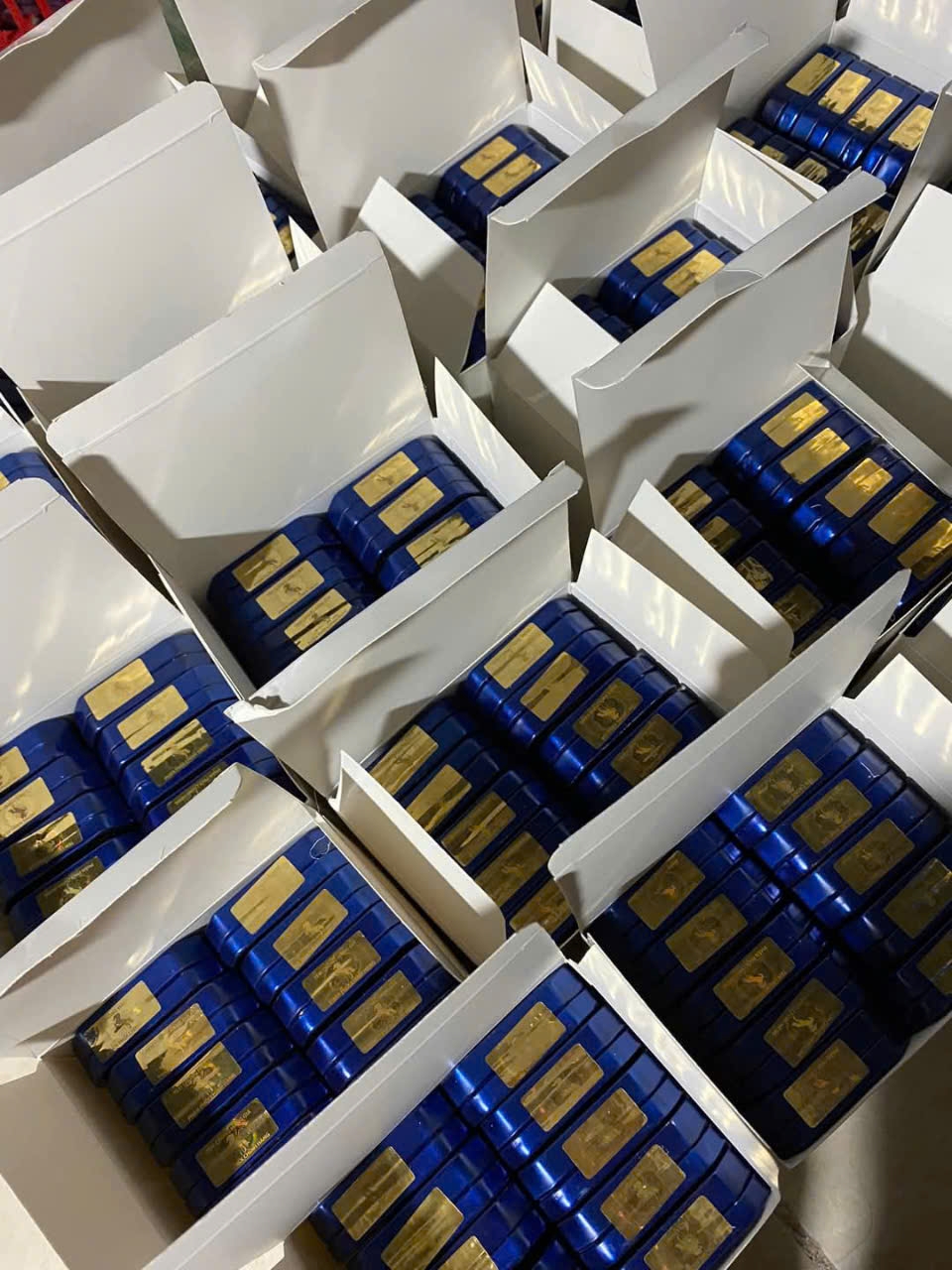 Ngựa Th&aacute;i Loại Mạnh Ch&iacute;nh H&atilde;ng